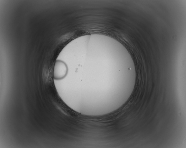 X0000084520408200703231635