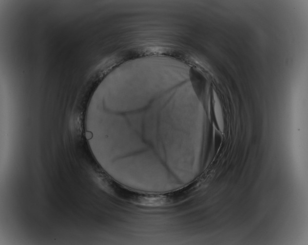 X0000084520410200703231635
