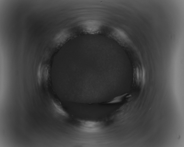 X0000084520412200703231635