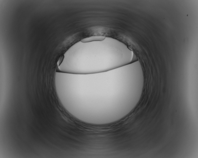 X0000084520413200703231635