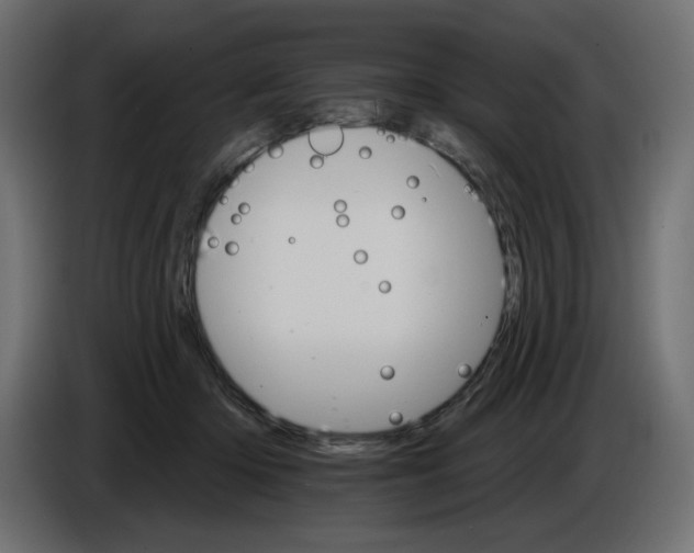 X0000084520414200703231635
