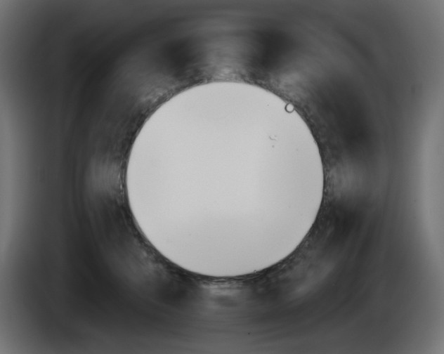 X0000084520415200703231635