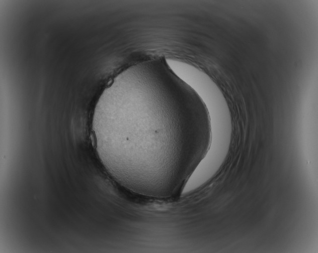 X0000084520416200703231635