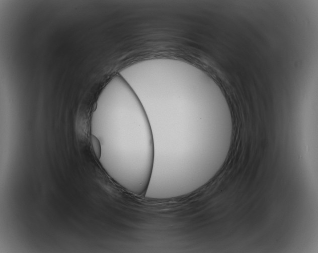 X0000084520417200703231635