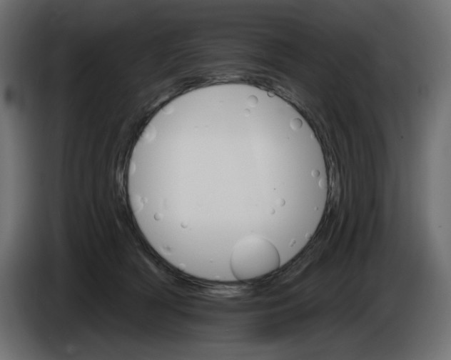 X0000084520418200703231635
