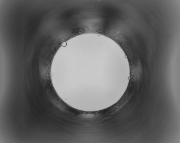 X0000084520419200703231635