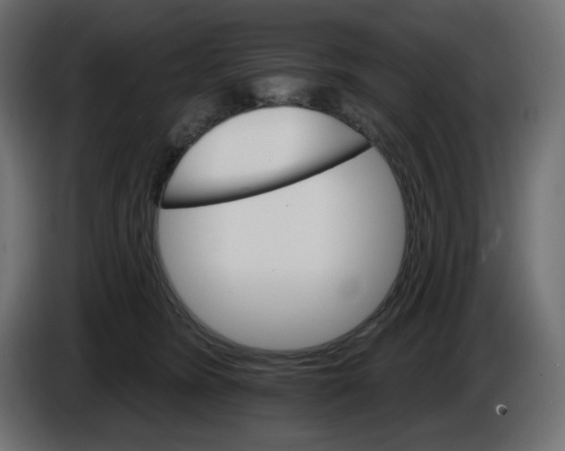 X0000084520420200703231635