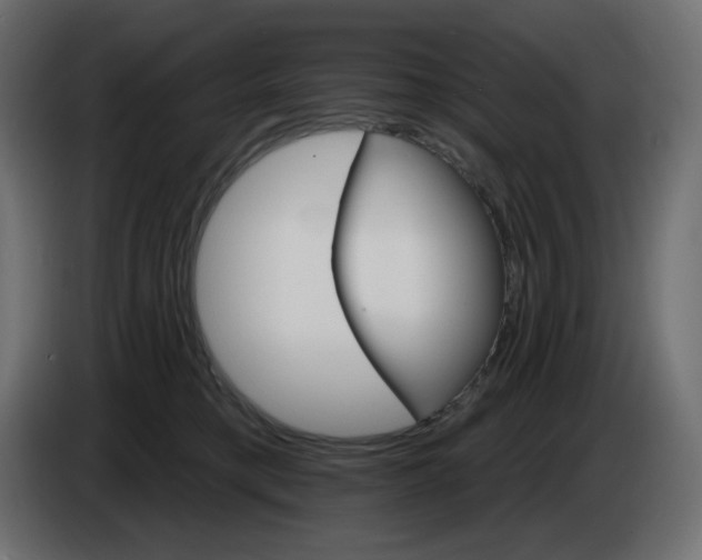X0000084520421200703231635