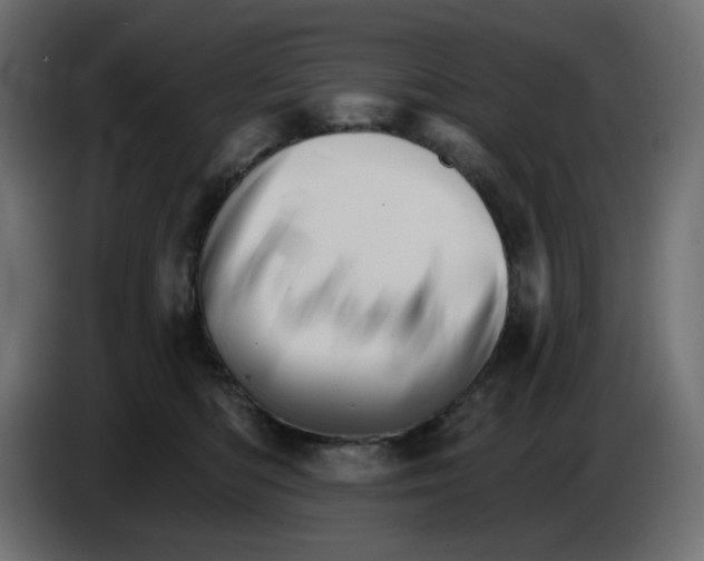 X0000084520422200703231635