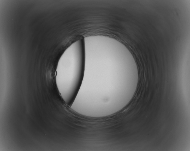 X0000084520424200703231635