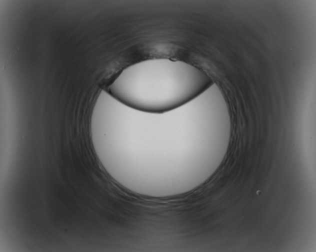X0000084520425200703231635