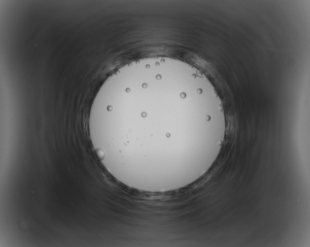 X0000084520426200703231635