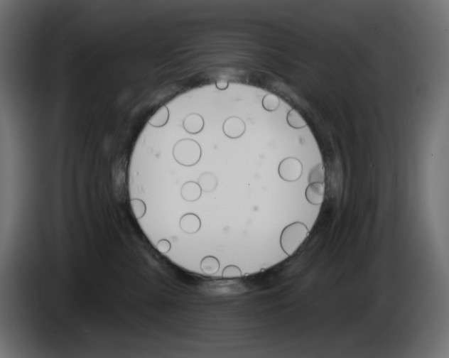 X0000084520427200703231635