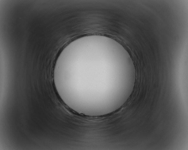 X0000084520428200703231635