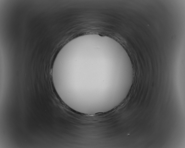 X0000084520429200703231635