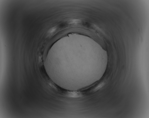 X0000084520432200703231634