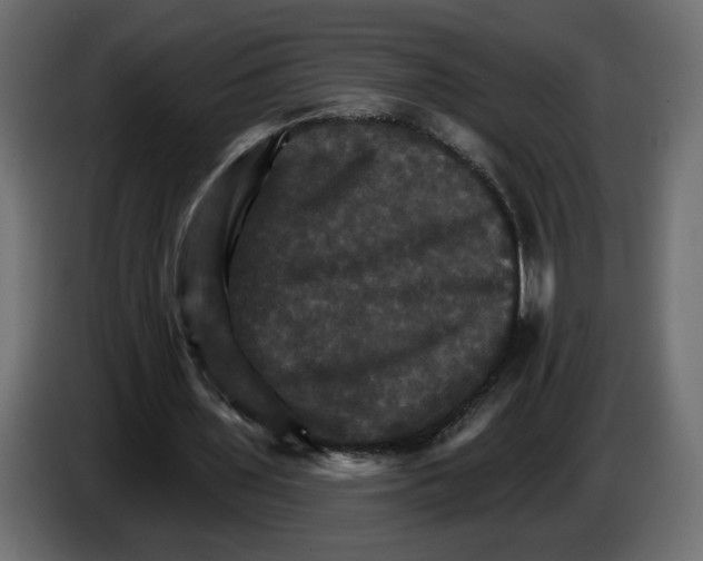 X0000084520435200703231634