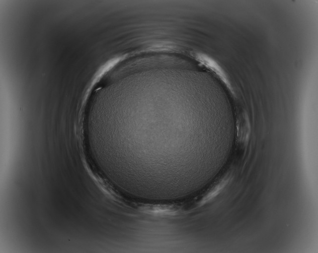 X0000084520436200703231634