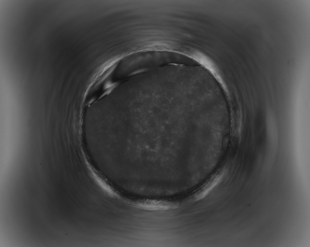 X0000084520437200703231634