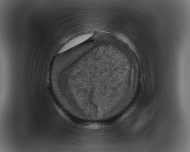 X0000084520441200703231634