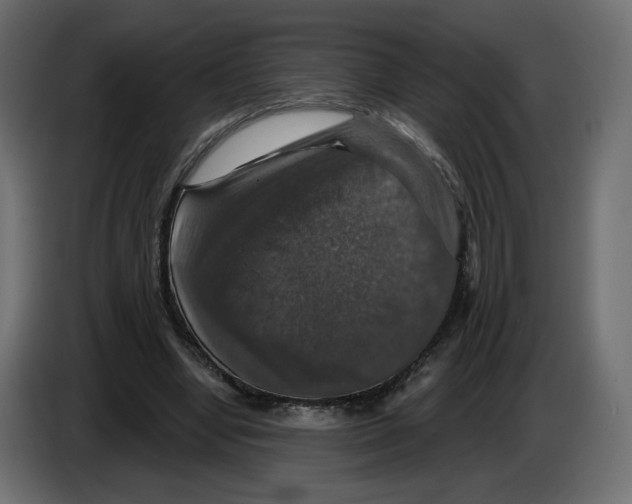 X0000084520442200703231634
