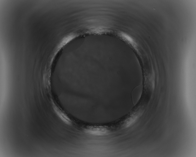 X0000084520443200703231634