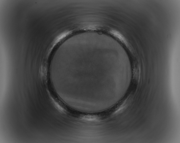 X0000084520444200703231634