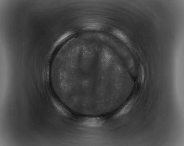 X0000084520446200703231634