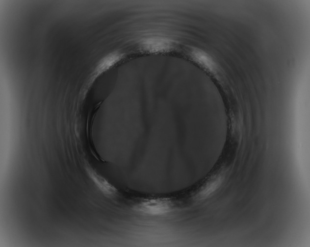 X0000084520447200703231634
