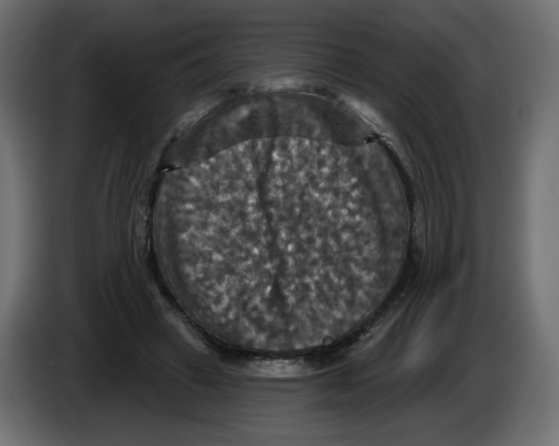X0000084520449200703231634