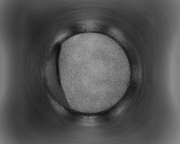X0000084520450200703231634