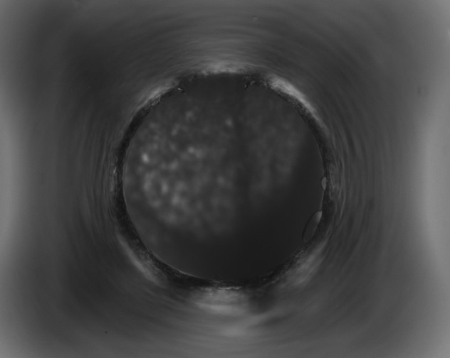 X0000084520451200703231634