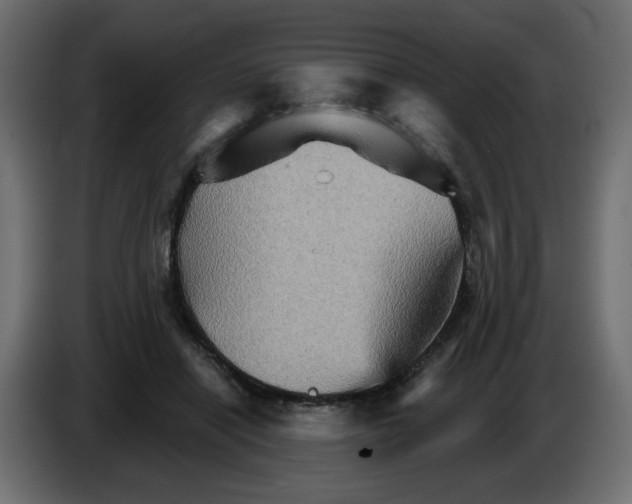 X0000084520454200703231634