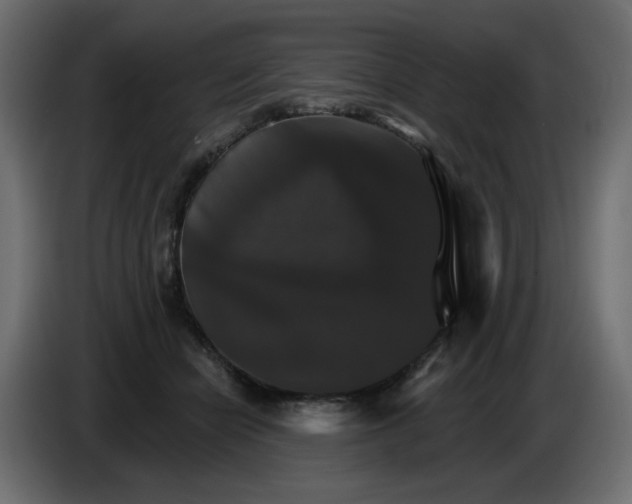 X0000084520462200703231634