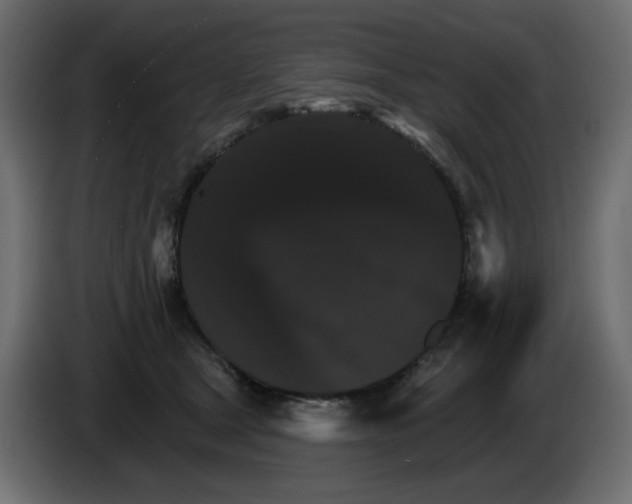 X0000084520465200703231634