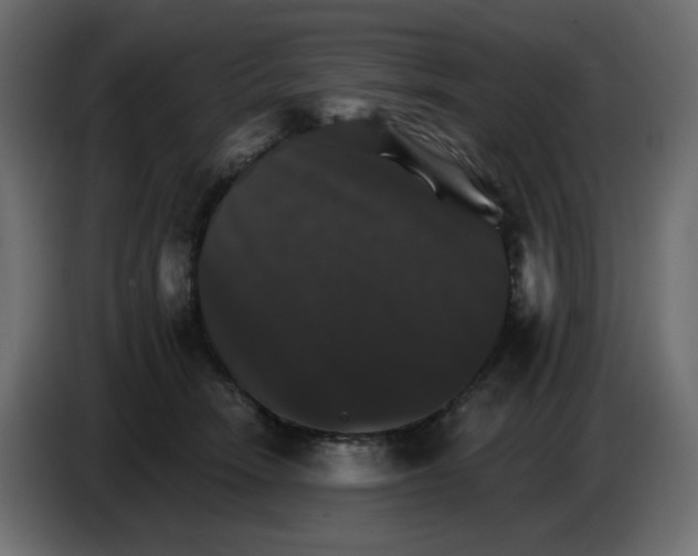 X0000084520466200703231634