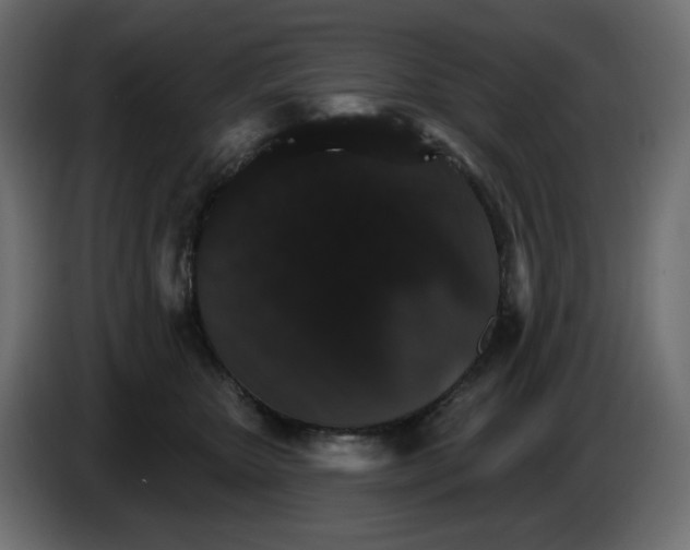 X0000084520467200703231634