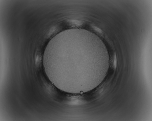 X0000084520468200703231634