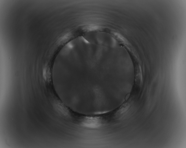 X0000084520469200703231634