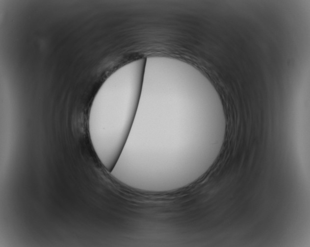 X0000084520470200703231634