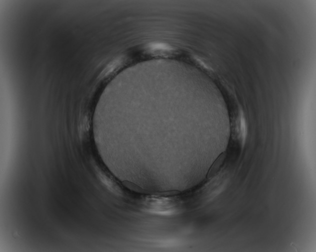 X0000084520472200703231634
