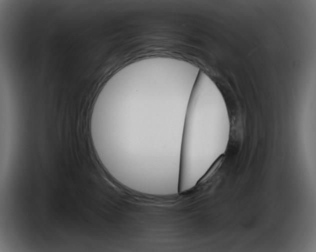 X0000084520474200703231634