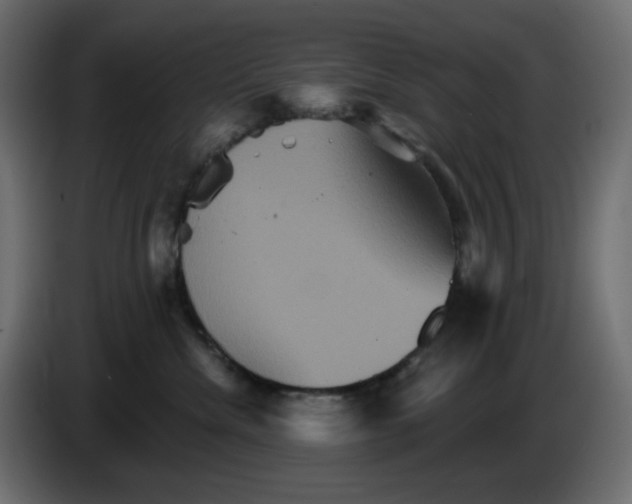 X0000084520476200703231634