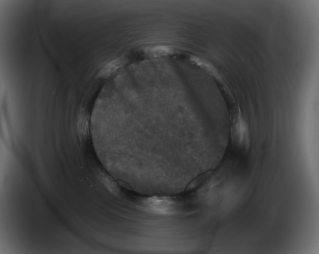 X0000084520477200703231634