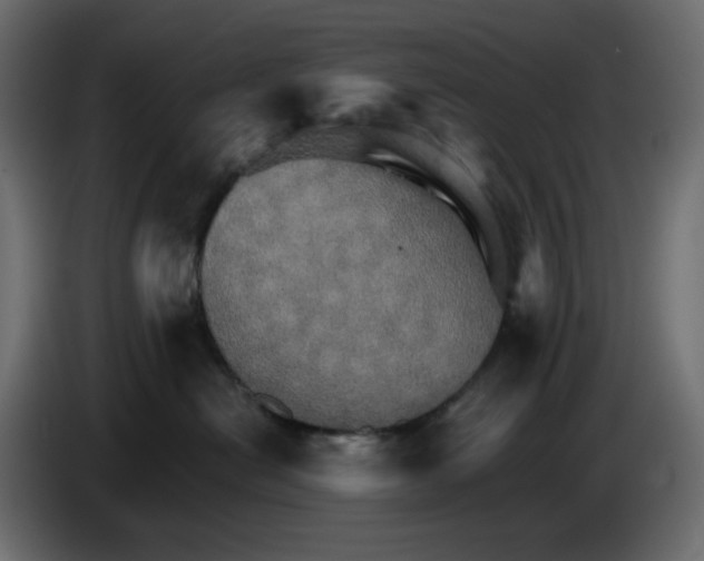 X0000084520478200703231634