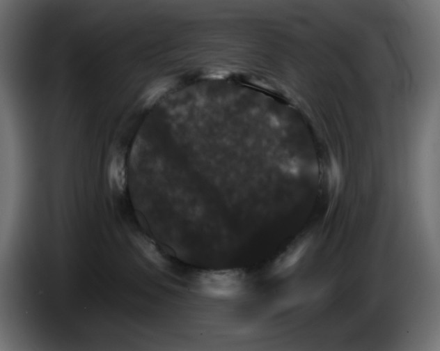 X0000084520479200703231634