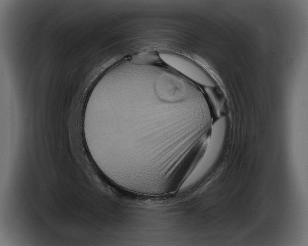 X0000084520481200703231634