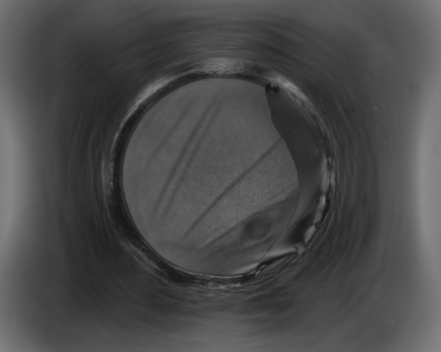 X0000084520484200703231634