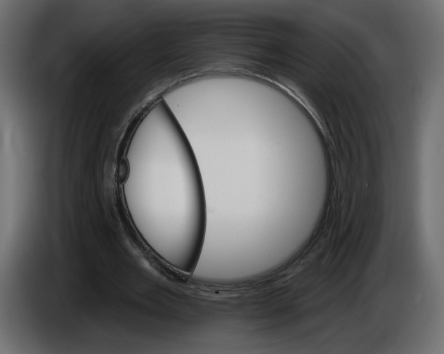 X0000084520485200703231634