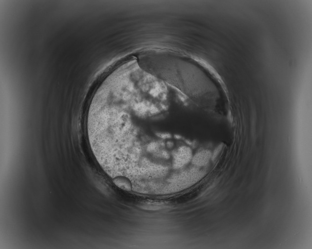 X0000084520487200703231634